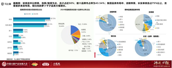 发展大会：调味品竞争态势及发展趋向PG麻将胡了试玩分享实录丨川调产业(图12)
